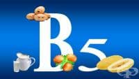 Витамин В5 (Пантотенова киселина)
