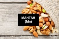 Манган – ползи, вреди и хранителни източници