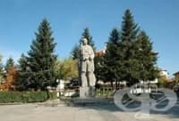 РЗИ - гр. Кюстендил