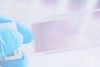 Клинична патология на инфекциозни болести