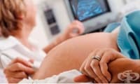 Вродени пороци в развитието на лицето, шията и устната кухина