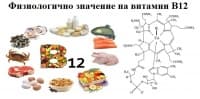 Физиологично значение на витамин В12