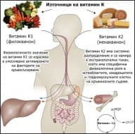 Физиологично значение на витамин К