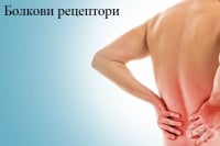 Болкови рецептори (ноцирецептори)