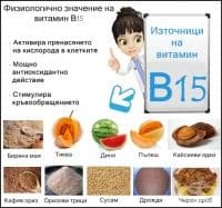 Физиологично значение на витамин В15