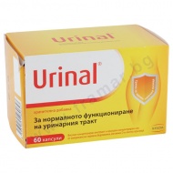 ������ ������� * 60 �������