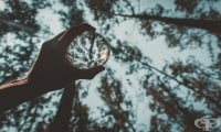 Апофения – дефиниция, признаци и причини