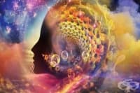 Проучванията показват, че лечението с LSD всъщност може да хармонизира мозъка
