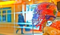 6 психологически термина, които психолозите не използват