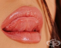 �������� � �������� �������