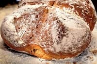 ������� ���� � ������������ ��������