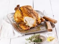 ��������� ������ ���� ����� ������ ���