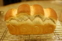 ����� ������ ����