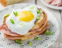 ����� ������� ���� �����