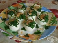 ��������� ���� �� ���� �� ��������� �� ����� - ����� ����