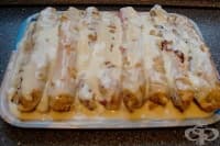 ������ �� ����� ����� � ����� � ������ �������