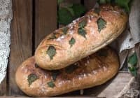 ������������ ���� � �������