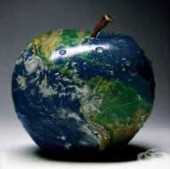 ����������� �� ����� ����� - ����� ����