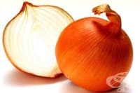 Как да съхраняваме и приготвяме лука