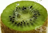 ���� ������ �������