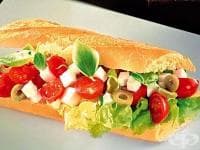 ������� �� �������� � ��������, ������ � �������