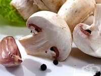 Как да приготвяме гъбите