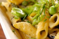 �������� � �������� ��� � ��������