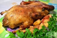 Патица с ябълки и дюли в ябълкова марината