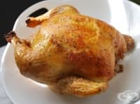 ������ ���� ����� ������ �� ���������