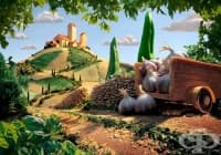 �������� �������, "����������" �� ������ �����