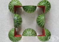 �������-����������� ���������