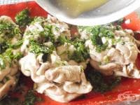 ������ ������� ����� � ����� � ��������