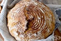 ������ ���� � ����� � ���