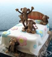 ����� - ��������� ��������