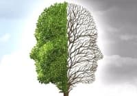 10 ������ ������ �� ��������� �����, �������� �� ����� �������� ��