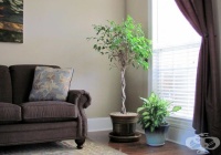 ����������� 10 ��������, ����� �������� ��������� ����������� � ���� /1 ����/