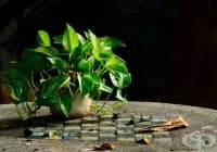 ����������� 10 ��������, ����� �������� ��������� ����������� � ���� /2 ����/