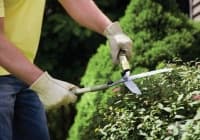 12 ���������� ����, �� ����� ������ ����� ��������