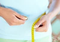 12 ������� ����� �� ����������, ����� ��������