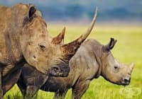 12 �������, ����� ����� �� �� �������� �� �������� ���� ����������� ����� � �������