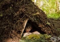 13 ������ �� ���������, ����� ����� �� ������ �����, ���� ������ ������ �������� ��������