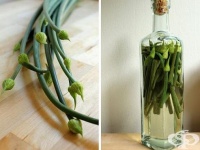 ��������� �� ������� ���� ��� ����� ���