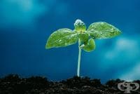 ��������� ���������� �� ���������� � ���������� ����