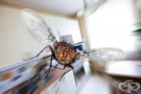 ��������� �� ����� �� ���� �� ��� � ��������� ������