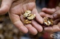 ��� ����� �� �������� ������� �� ���������?