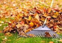 ������������ ������� � ��������� ���� 5 ��������� ������