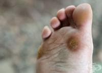 ������������ �������� �� ������� � ������� ������ �� ��������, �������, ����� � ���������