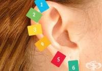 ��������� �������� �� ��������� � ����� �� �����