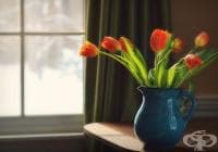 ��� �� ������� ������ �� ���� ����� �� 3 ������?