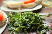 ��������� �������� �� ������� � ��������  